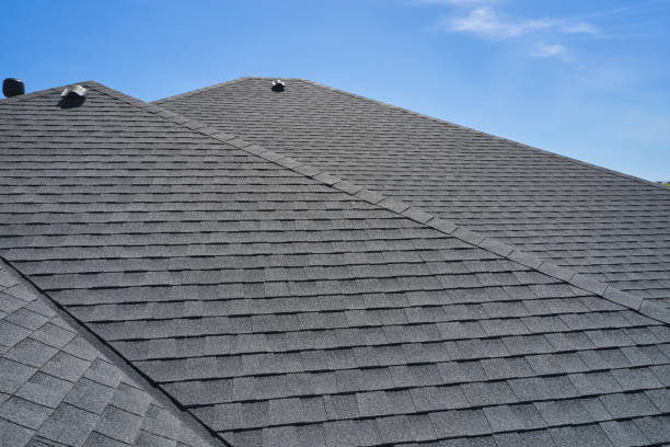 Best Roof Moss and Algae Removal  in Clifton Gardens, NY